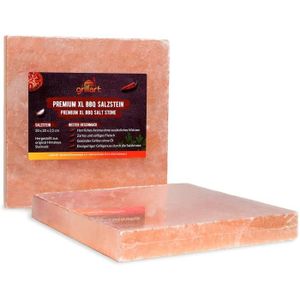 PIERRE À CUIRE ® Premium XL Pierre de sel pour griller (lot de 2)
