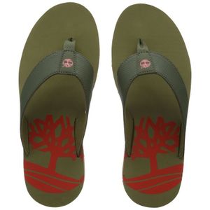 tong timberland homme
