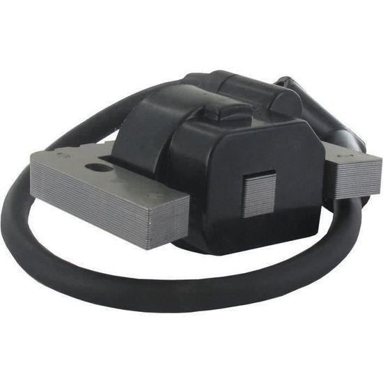 REMPLACEMENT BOBINE D'ALLUMAGE Pour TECUMSEH V50 V70 V80 VH60 VH70