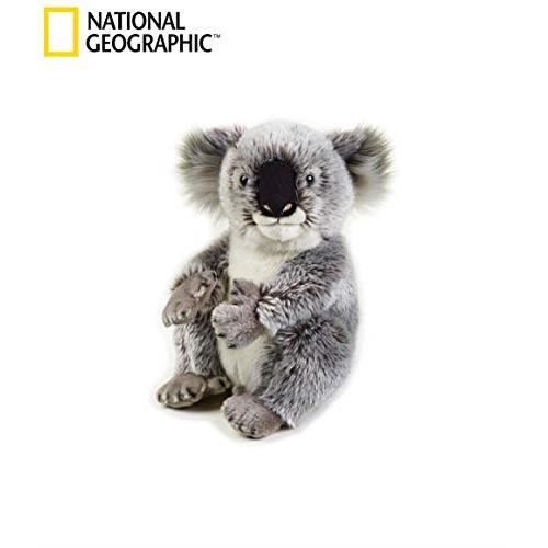National Géographic - 770708 - Koala 8004332707080