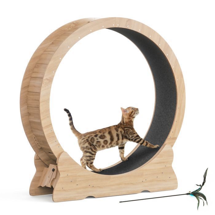Meilleurs prix pour Mondeer Roue d'exercice pour chat de 42,5 (43,3) pouces,avec tapis amovible et conception ultra - silencieuse,marron