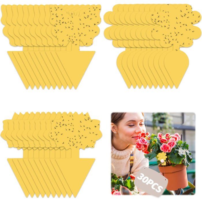 Piège à mouches Buauty 30 pièces autocollants en papier jaune pour attraper les mouches des fruits pièges à mouches