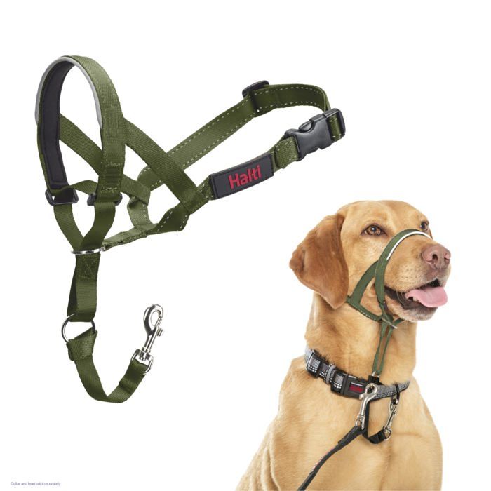 Licol anti-traction pour chien - Halti - Taille 3 - Vert Forêt - Muserolle rembourrée en néoprène