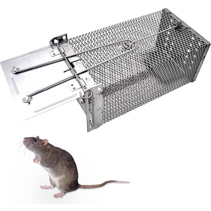 Piège à Rat Humain Réutilisable – Cage XXL 27x12x14 Cm, Mécanisme Sensible, Pour Intérieur/extérieur