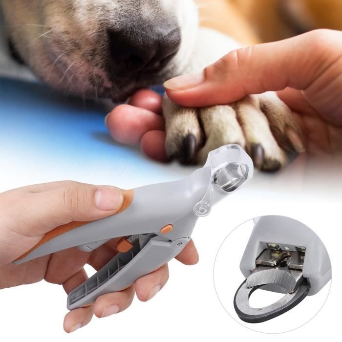 Sonew coupe-ongles pour chiens Ciseaux de coupe-ongles pour chien de compagnie avec lumière LED et outil de toilettage de tondeuse