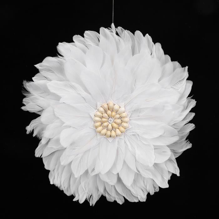 VGEBY plume de décoration d'intérieur Plume tissée à la main plume blanche décoration murale bricolage accessoires de tir