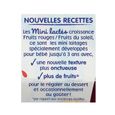 Blédina Les Mini Lactés, Dessert bébé, De 12 à 36 Mois, Fruits Rouges, 12x55g-1