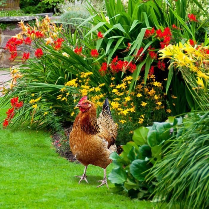 ODIWEN - Décoration Poulet En Résine Réaliste - Statue De Poule Assise Ou Couchée - Pour Jardin, Intérieur, Style Campagne Sculpture Poulet Cadeau Déco