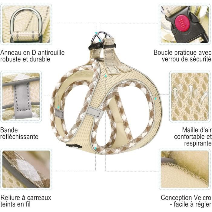 Harnais De Conduite Miniature En Cuir Noir Verni - Pour Grand Cheval Noir - Clous Décoratifs - Neuf