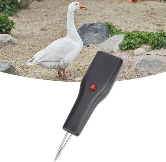 Plumeuse électrique Pour Volaille - Moteur 240 Tr/min - Tête Conique Inox - Pour Poulet, Canard, Oie, Dinde - 11