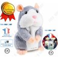 TD® Parler Hamster Plush Toy drôle Peluche Répète ce Que tu Dis Jouet électronique Parlant Cadeau de Bébé Enfants adorable (Gris-0