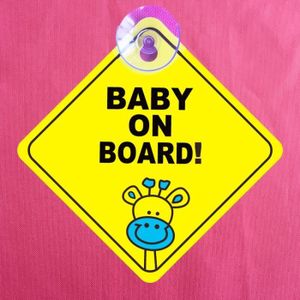 Bebe A Bord Ventouse Peluche Cdiscount