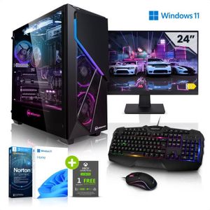Provonto PC Gamer Budget Complet Fixe - Intel Xeon E5-2650 V4