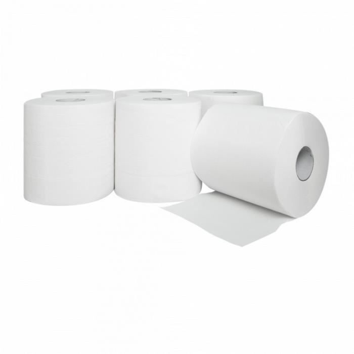 Rouleaux essuie tout géant 450 formats 2 plis ouaté blanc - WIZZY -  Mr.Bricolage