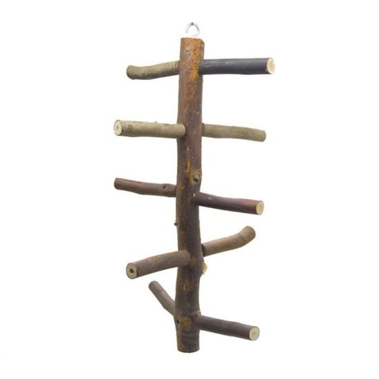 Gallery image with a fresh perspective