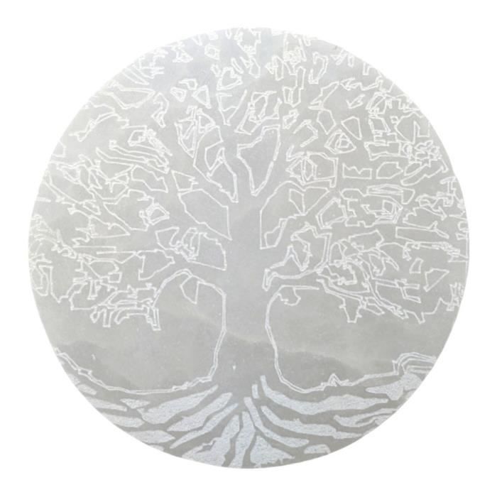 Disque Arbre de Vie en Sélénite ø10cm Plaque de rechargement 10cm Transparent