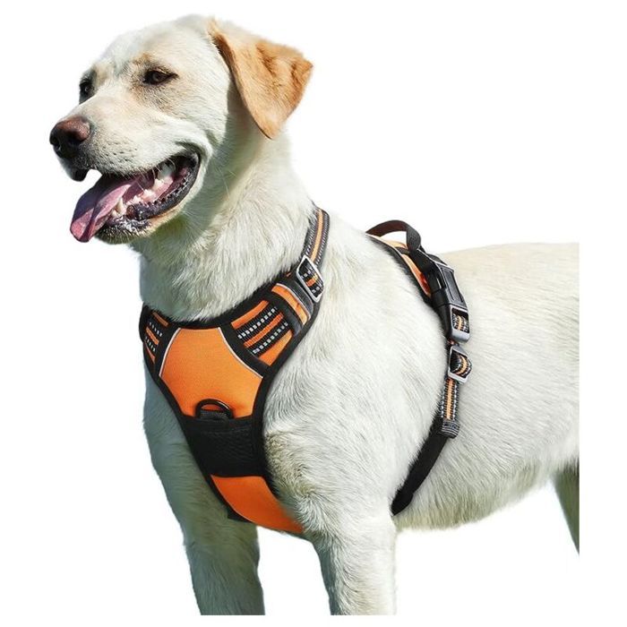 Meilleurs prix pour Harnais Chien - YYV - Réfléchissant - Anti-Traction - Réglable - Respirant