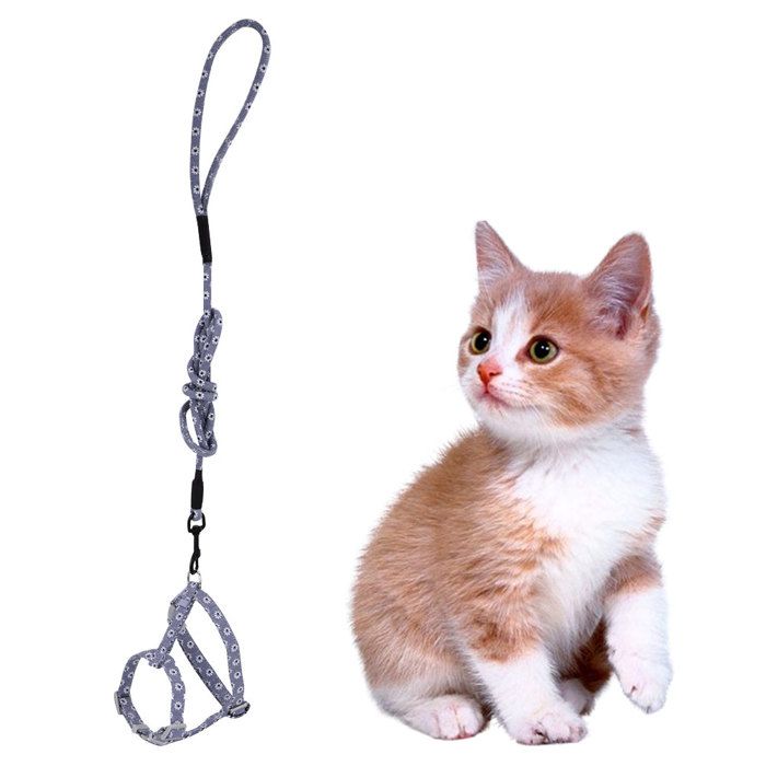 Harnais pour chat - OKUMGGYJ - S - Gris foncé avec fleurs - Sangle de poitrine - Laisse incluse