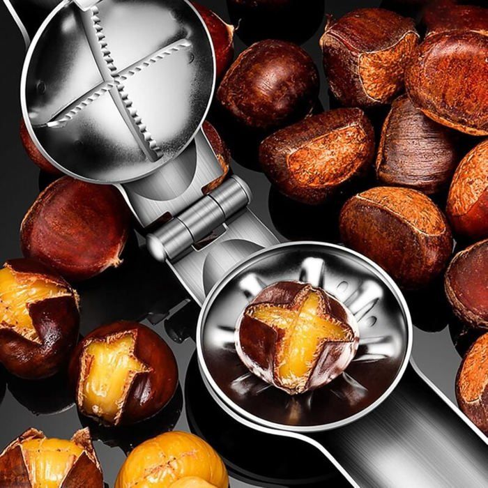 LXYYDS Pince à Chataignes, Coupe Chataigne, Inoxydable Ouvre