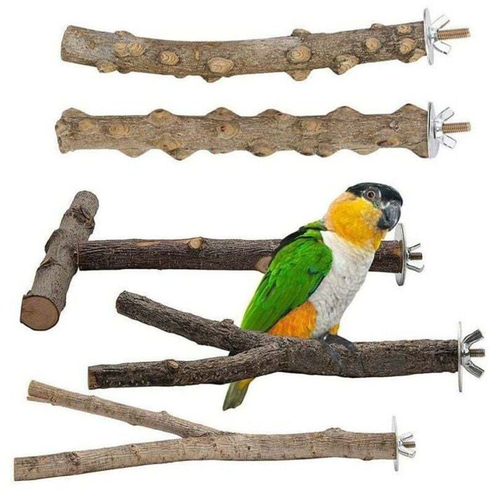 Meilleurs prix pour Lot de 5 perchoirs bois naturel pour oiseaux perruches - cage et jouets Label