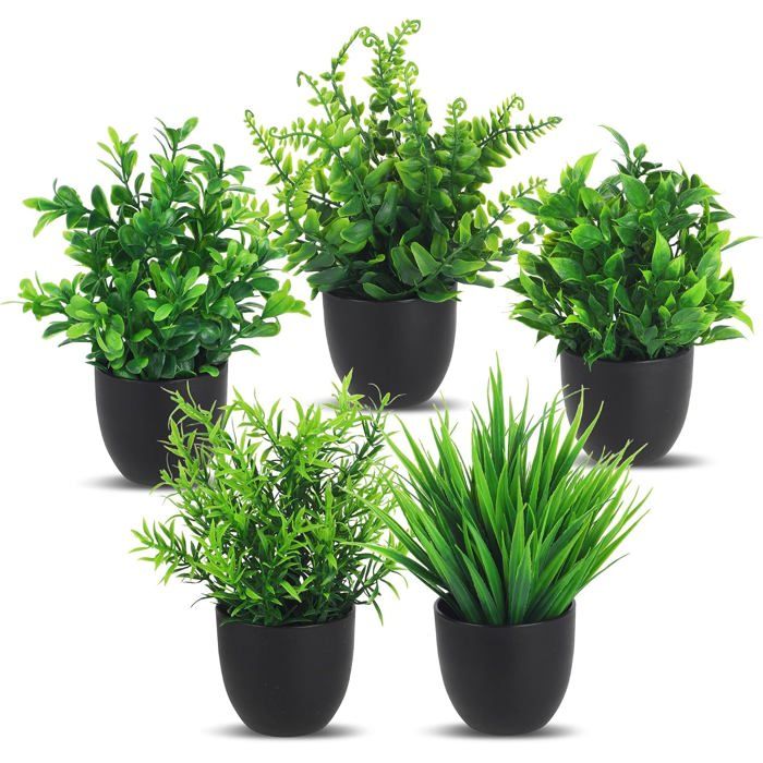Plantes artificielles dintérieur en pot - Lot de 5 - 18 x 12 cm - PVC et ABS - Noir mat - Résistantes aux UV