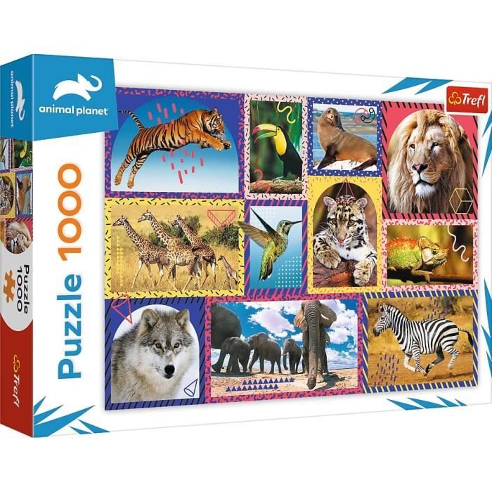 Puzzle Nature Sauvage 1000 Pièces - Animaux Du Monde - Cadres Colorés ...