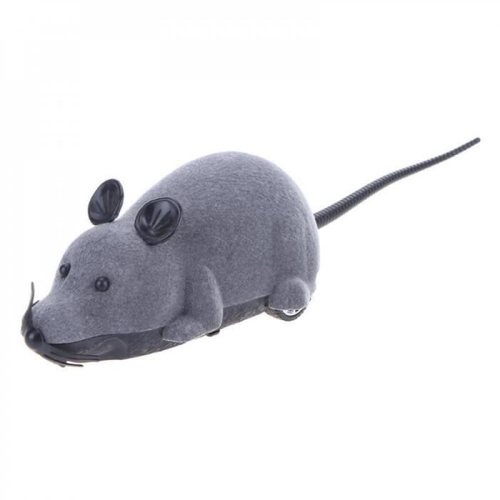 Jouet Pour Chat Amusant Petit Jouer Electrique Pivotant Oiseau Papillon Avis Fil Pet Jeu Achat Vente Jouet Jouet Pour Chat Amusant Cdiscount
