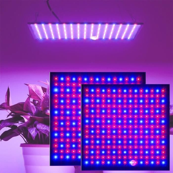 Lampe de Plante, Lumière LED Horticole à Spectre Complet à 360° avec  Minuterie, Lumière de Croissance, [Classe énergétique A+++] - Cdiscount  Jardin