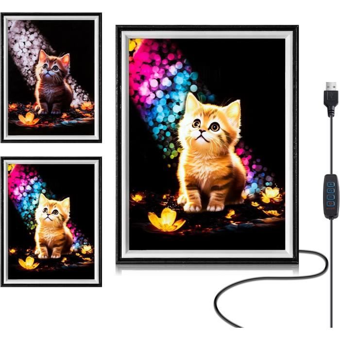 Cadre clic clac lumineux LED Double face