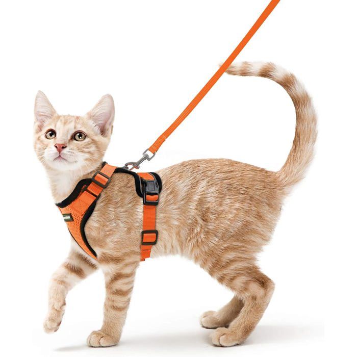 Meilleurs prix pour Rabbitgoo Harnais Chat- Harnais Petit Chien avec Laisse Réglable Respirant Refléchissant S-Orange