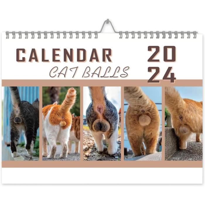 Calendrier 2024 Lazy Kitty Calendrier 2024, Calendrier mural Lazy