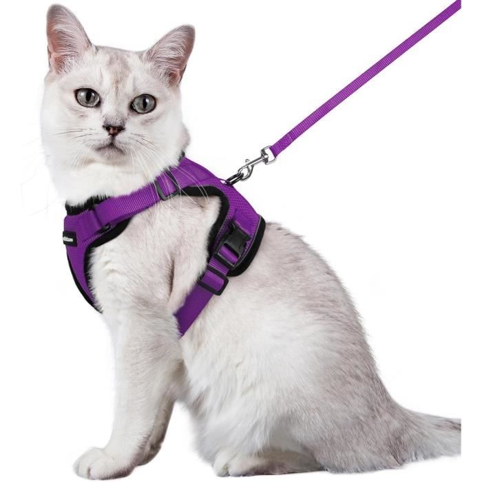 Meilleurs prix pour rabbitgoo Harnais Chat Anti évasion avec Laisse Violet M, Harnais Chaton Petit Chien Réglable, Collier Harnais et Laisses pour C221