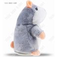 TD® Parler Hamster Plush Toy drôle Peluche Répète ce Que tu Dis Jouet électronique Parlant Cadeau de Bébé Enfants adorable (Gris-1