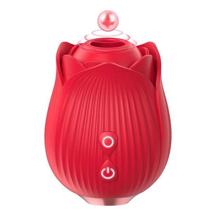 Jouet sexuel adulte jouet Rose pour femmes, vibrateur et jouets sexuels pour adultes avec 10