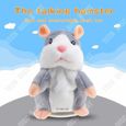 TD® Parler Hamster Plush Toy drôle Peluche Répète ce Que tu Dis Jouet électronique Parlant Cadeau de Bébé Enfants adorable (Gris-2