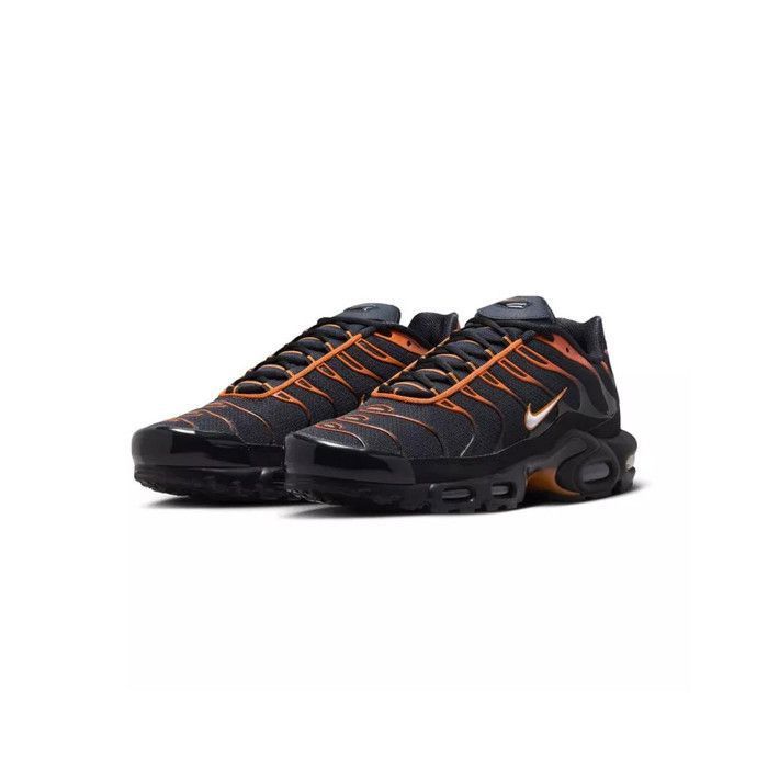 Basket Nike AIR MAX PLUS Noir Cdiscount Chaussures