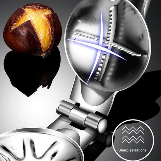 Oldmoom Outil Pour Couper Les Châtaignes, Pince à Châtaignier En Acier Inoxydable, Décapsuleur De Noix De Châtaigne, Rapide De Châtaigne Clip, Pince à Noix, Ouvre-châtaigne, Pour Châtaignes,Noisettes