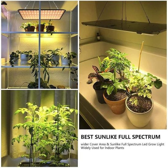plantes grasses tête unique semis légumes lampe de croissance à spectre complet avec interrupteur et port de charge USB pour serre Lampe de croissance à LED pour plantes d'intérieur