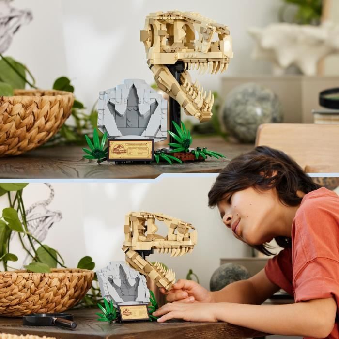 LEGO® 76964 Jurassic World Les Fossiles de Dinosaures : Le Crâne du T. Rex,  Jouet de Dino, Déco pour la Chambre d'Enfant - Cdiscount Jeux - Jouets