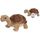 Peluche tortue