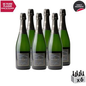 CHAMPAGNE Champagne Blanc de Noirs Blanc - Lot de 6x75cl - Champagne Daubanton - Cépage Pinot Noir