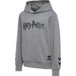 SWEATSHIRT Sweatshirt à capuche enfant Hummel Harry Potter - 