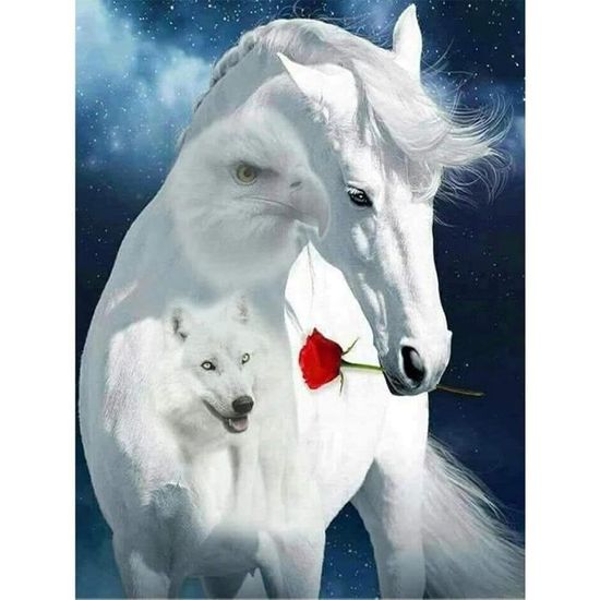 Regalo Creativo Per Principianti Diamond Painting Kit 5d Diamond Painting Panda Kit Per Pittura Diamante Fai Da Te Per Adulti Decorazione Murale Per La Casa 30 * 40 Cm Senza Cornice JuZi
