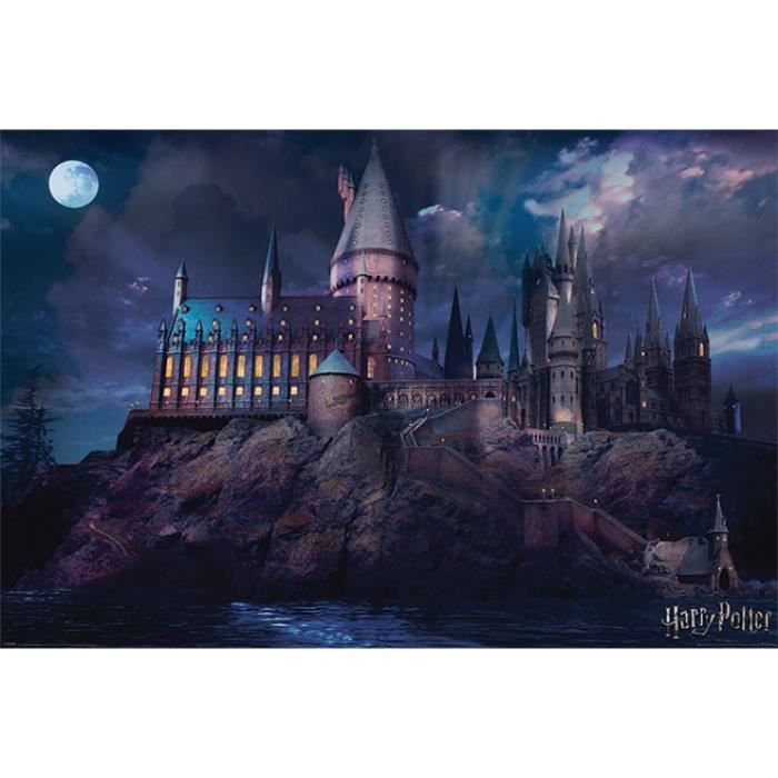 Poster Harry Potter Poudlard Ecole Chateau Lune 61 X 91 Cm Cdiscount