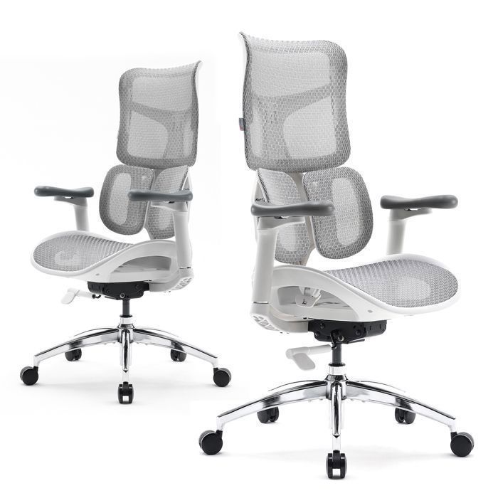 SIHOO Doro S100 Chaise de Bureau Ergonomique avec Un Soutien Lombaire Dynamique Double Dossier réglable sur 5 Niveaux Blanc