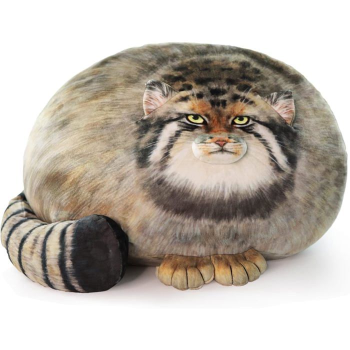 Meilleurs prix pour ®RisingFF Peluche chat des steppes 35 cm coussin en peluche chat Pallas adorables peluches pour filles coussin en peluche doux
