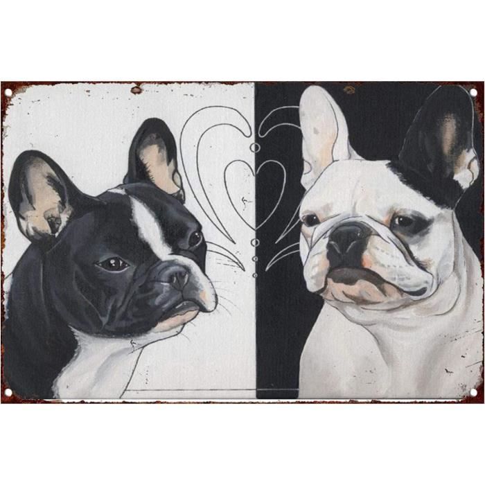 Plaque Murale Vintage En étain « A House Is Not A Home Without A Caniche » – 30,5 X 20,3 Cm – Décoration Maison, Café
