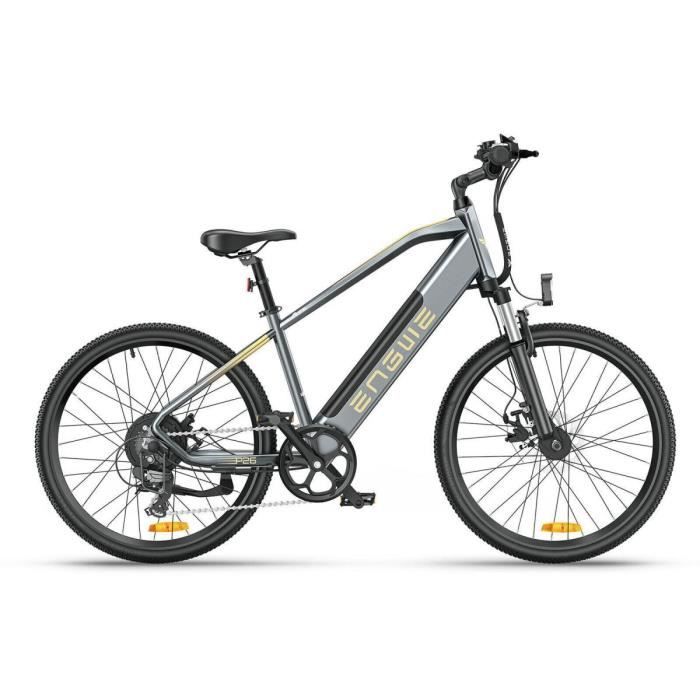 für RALEIGH Dover Impulse 7R, Original E-Bike Akku 36V 17Ah bei