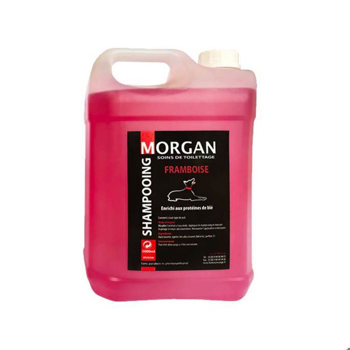 Shampoing protéiné Framboise Morgan : 5 litres - MORGAN Shampoing protéiné Framboise Morgan : 5 litres - MORGAN