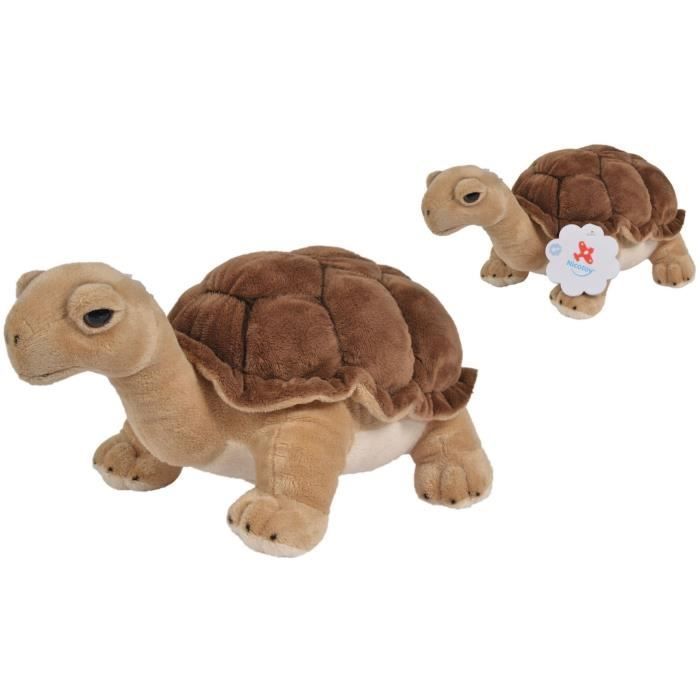 peluche tortue